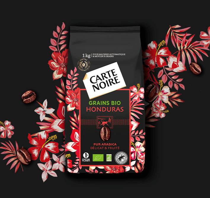 Grains Bio - Honduras