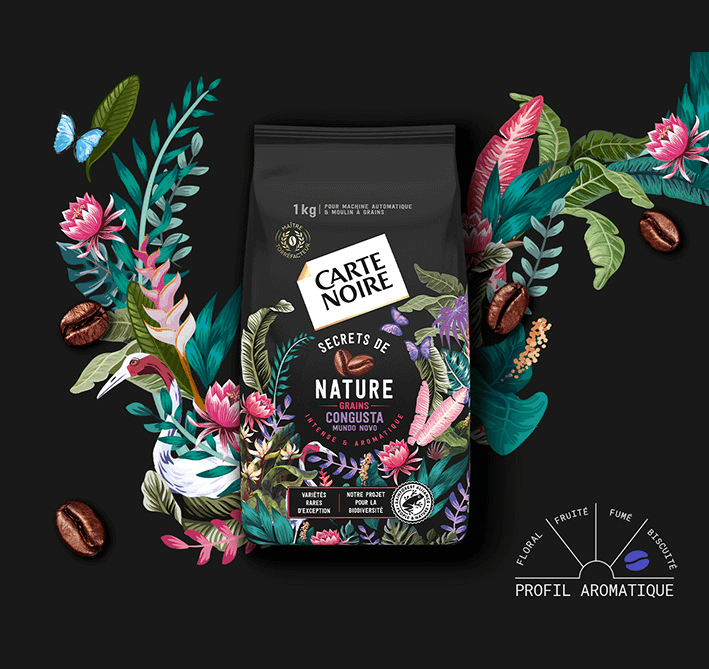 SECRETS DE NATURE - variétés Congusta et Mundo Novo - Café en grains