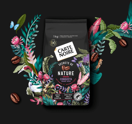 SECRETS DE NATURE - variétés Congusta et Mundo Novo - Café en grains